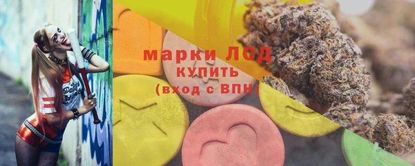 индика Баксан