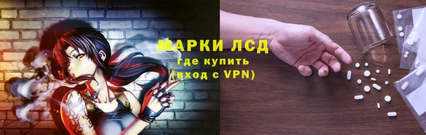 шишки Беломорск