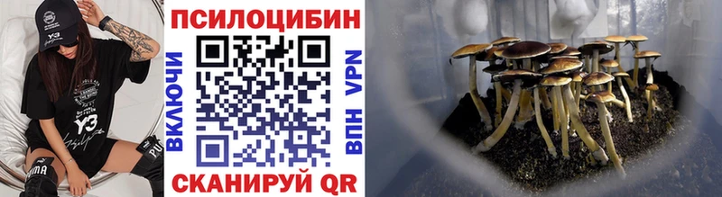 Псилоцибиновые грибы Psilocybe  Бузулук 